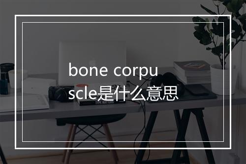 bone corpuscle是什么意思