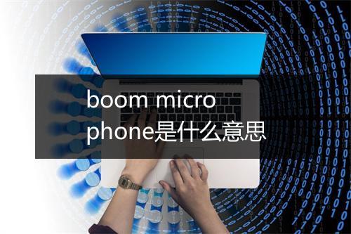 boom microphone是什么意思