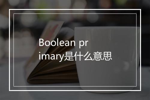 Boolean primary是什么意思