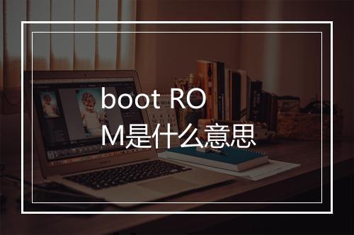 boot ROM是什么意思