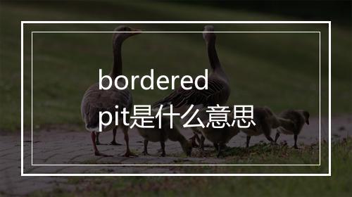 bordered pit是什么意思