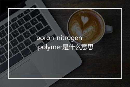 boron-nitrogen polymer是什么意思