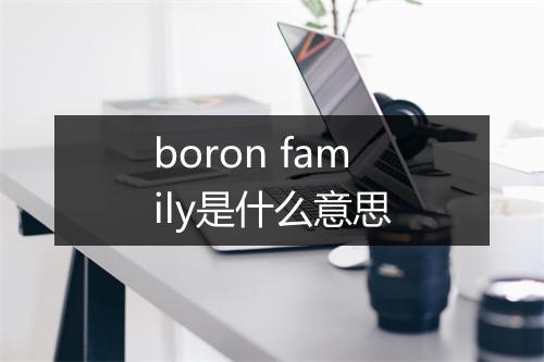 boron family是什么意思