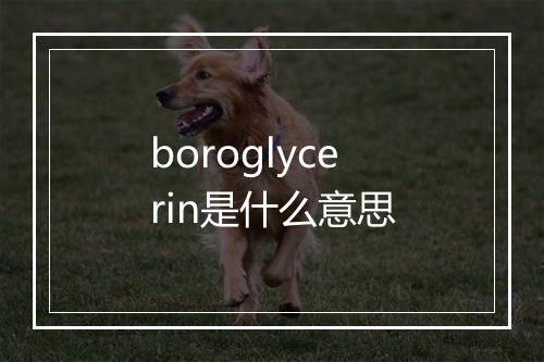 boroglycerin是什么意思