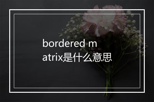 bordered matrix是什么意思