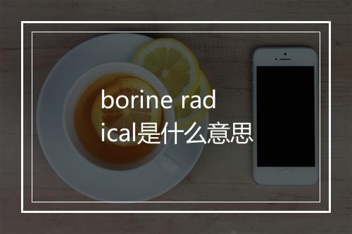 borine radical是什么意思