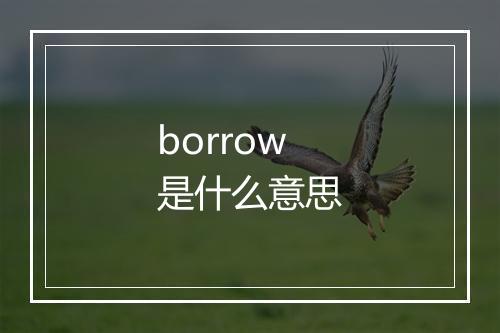 borrow是什么意思