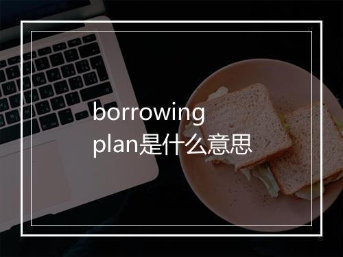 borrowing plan是什么意思