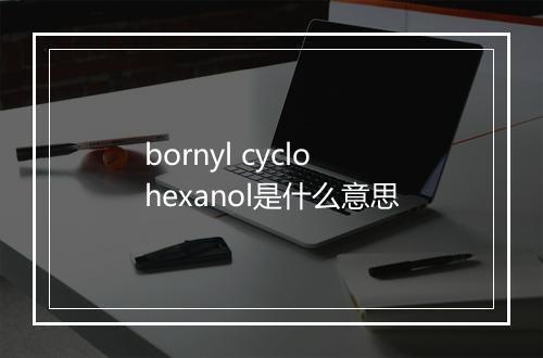 bornyl cyclohexanol是什么意思