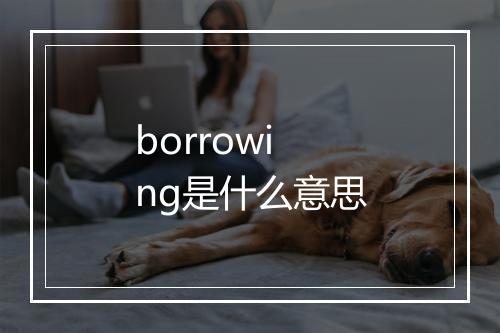 borrowing是什么意思