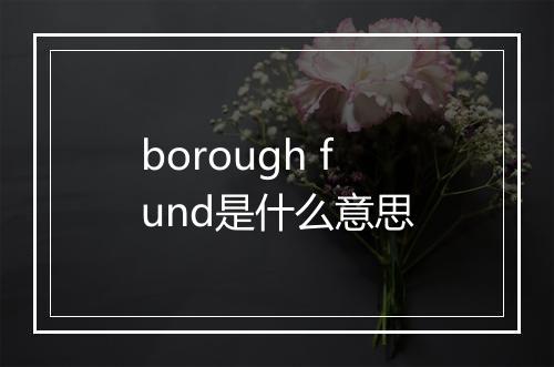 borough fund是什么意思