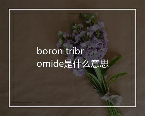 boron tribromide是什么意思