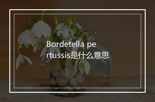 Bordetella pertussis是什么意思