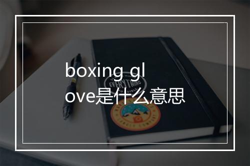 boxing glove是什么意思