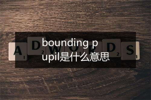 bounding pupil是什么意思