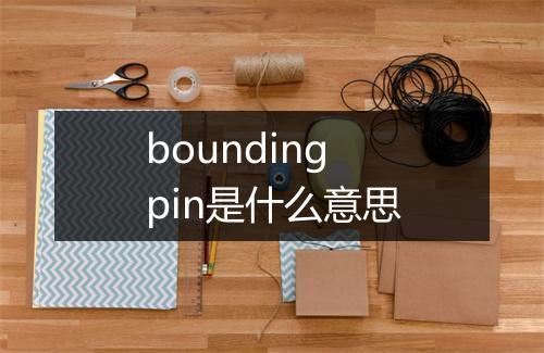 bounding pin是什么意思