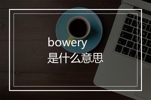 bowery是什么意思