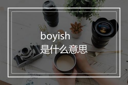 boyish是什么意思