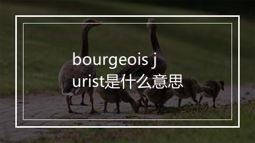 bourgeois jurist是什么意思