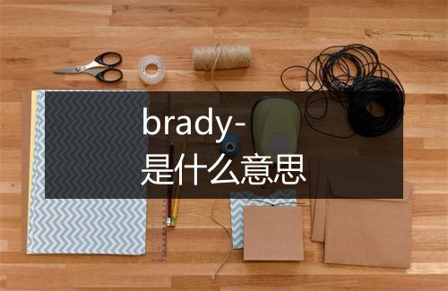 brady-是什么意思