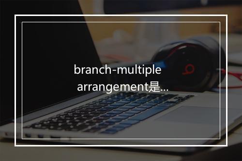 branch-multiple arrangement是什么意思