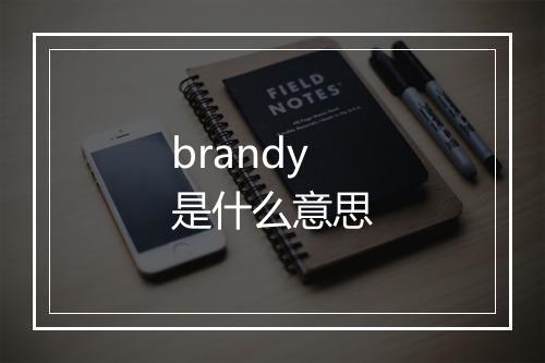 brandy是什么意思