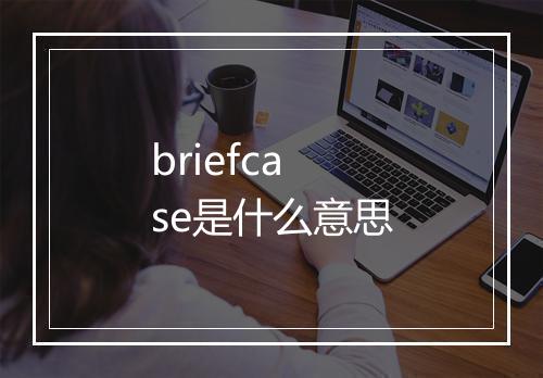 briefcase是什么意思