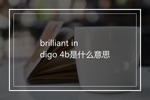 brilliant indigo 4b是什么意思