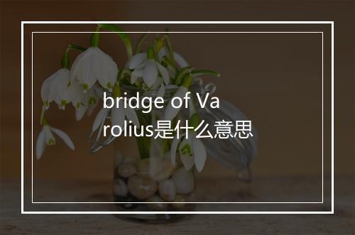 bridge of Varolius是什么意思