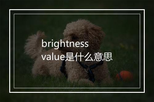 brightness value是什么意思