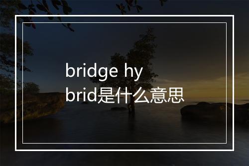 bridge hybrid是什么意思