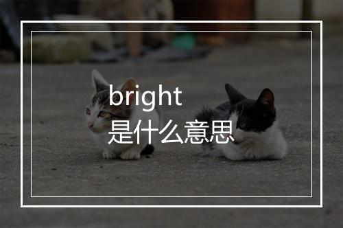 bright是什么意思