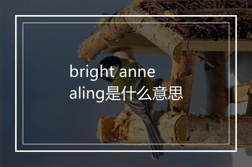 bright annealing是什么意思