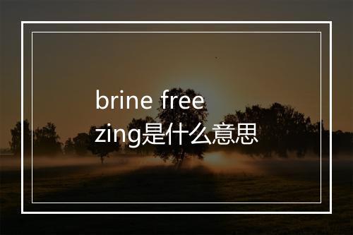 brine freezing是什么意思