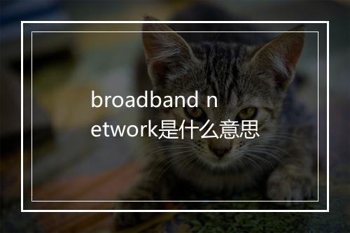 broadband network是什么意思