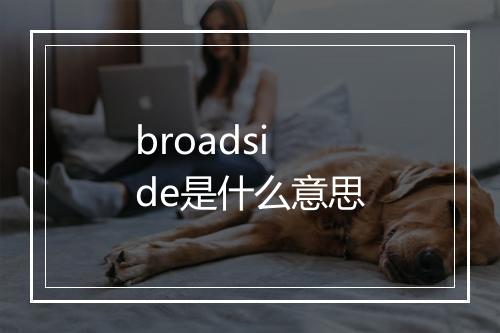 broadside是什么意思