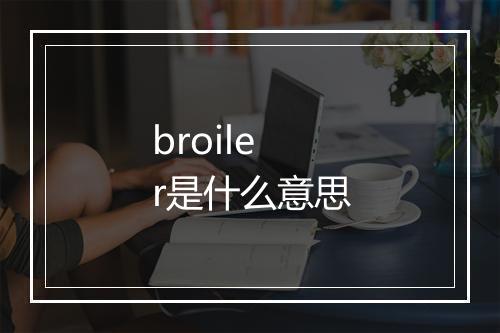 broiler是什么意思