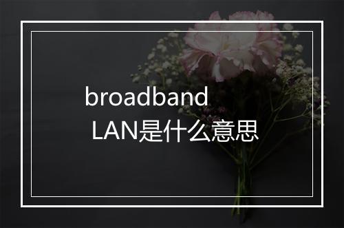 broadband LAN是什么意思