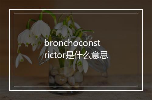 bronchoconstrictor是什么意思