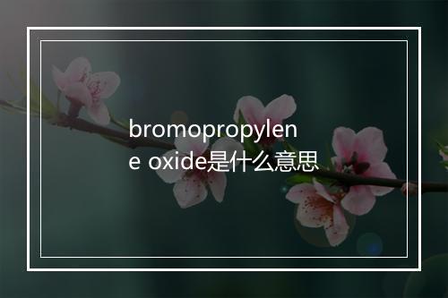 bromopropylene oxide是什么意思