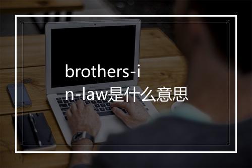 brothers-in-law是什么意思