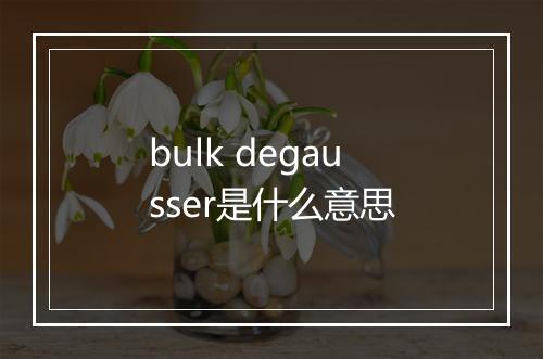 bulk degausser是什么意思