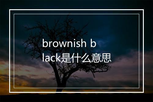 brownish black是什么意思