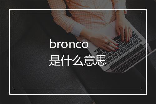 bronco是什么意思