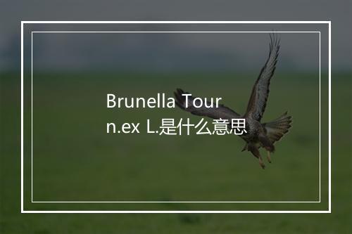 Brunella Tourn.ex L.是什么意思