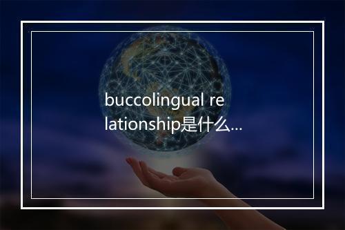 buccolingual relationship是什么意思