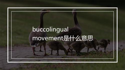 buccolingual movement是什么意思