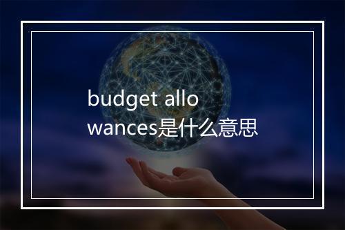 budget allowances是什么意思