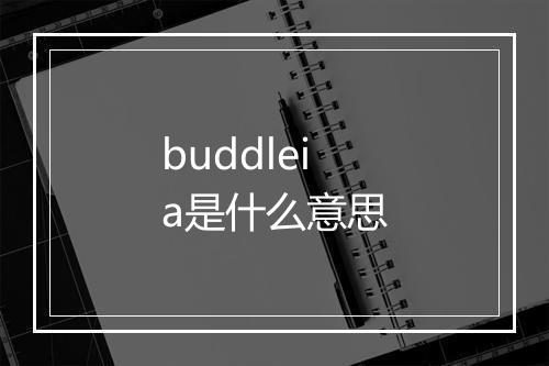 buddleia是什么意思