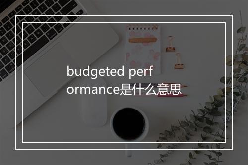 budgeted performance是什么意思